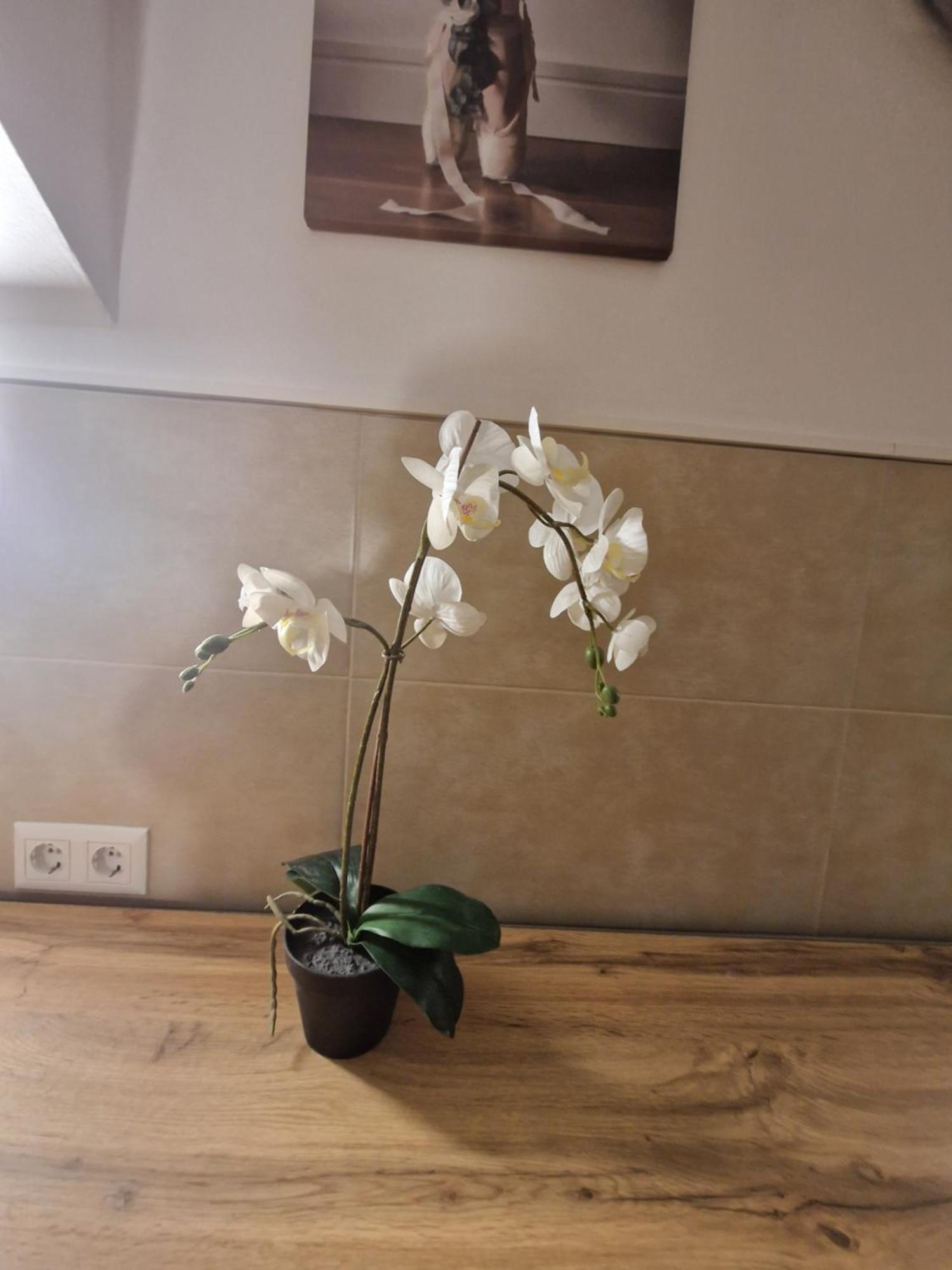 Small Twin Room,1593155810:JPEG